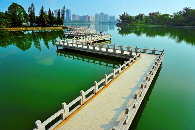 九曲桥 SEO China AUTOVEILLE